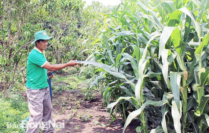 Sẽ chuyển đổi hàng chục ngàn ha đất làm dự án tại Đồng Nai_add