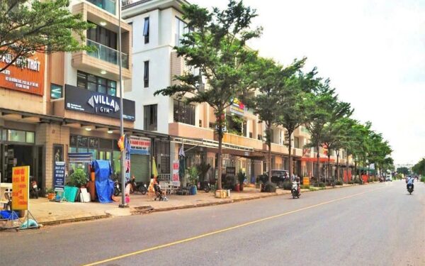 Lavila 2 kiến Á căn góc